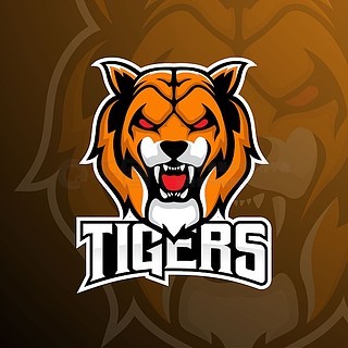 Invictus Gaming
